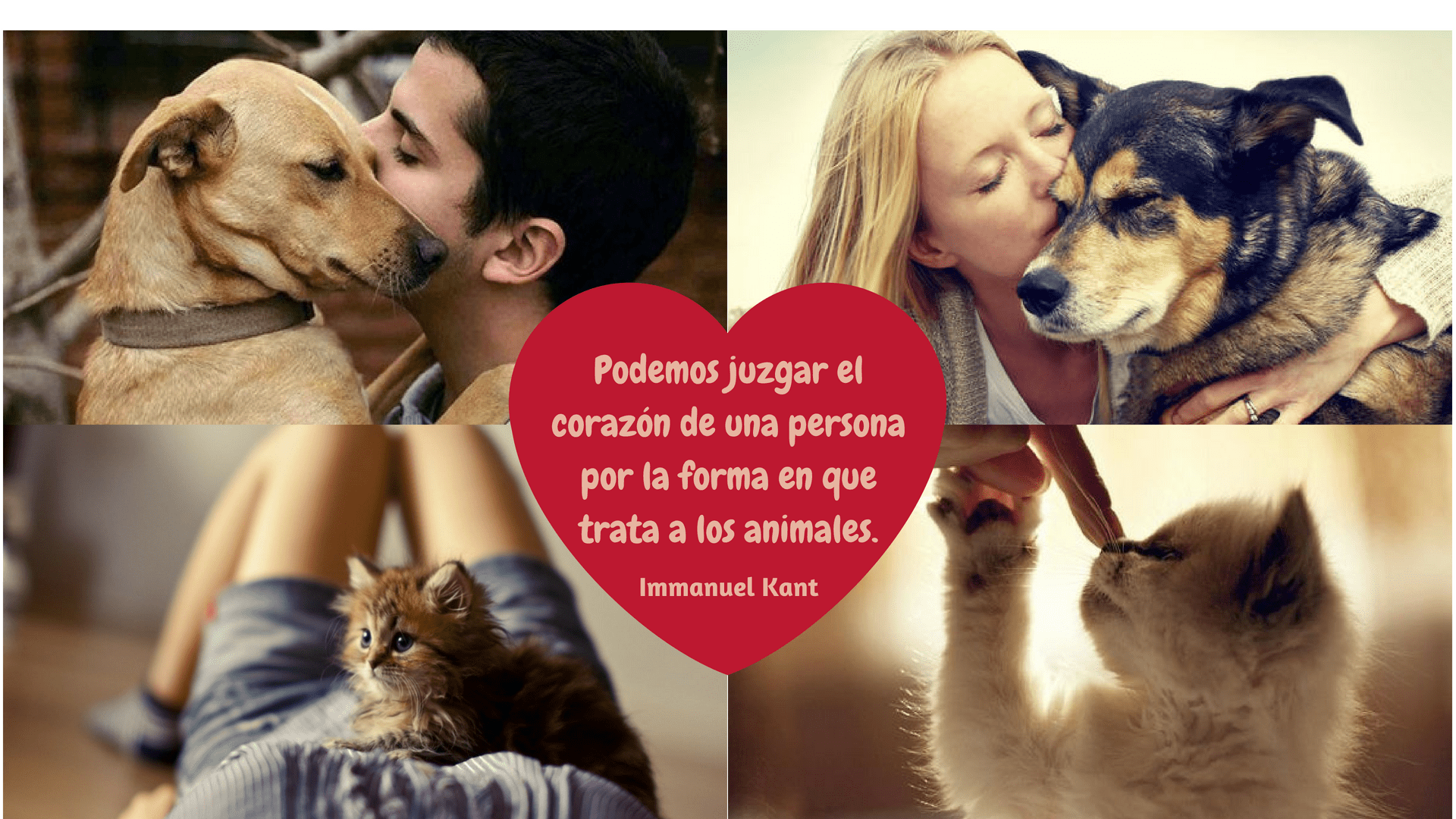 Animal Lover - Unique Personalizado